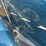 1932-cadillac-v-16-fleetwood-image-72