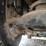 2008-honda-odyssey-image-76