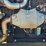 2023-bandit-sg75-image-43