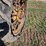 john-deere-model-b-image-19