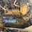 caterpillar-d4d-image-26