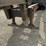 prentice-210d-image-18