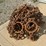#410-•-bear-claw-tire-chains-image-1