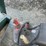 linde-h25t-image-31