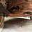 ford-f5-image-19