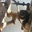#10590-•-*inop-1985-chevrolet-d30-military-postal-unit-4x4-pickup-1gchd34jxff373404-inv#10590-image-15