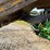 2017-john-deere-6110m-image-57