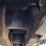 2022-caterpillar-308-cr-image-24