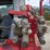 2017-takeuchi-tl12v2-image-64
