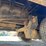 2012-landoll-440-image-13
