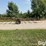 irrigation-pipe-trailer-image-4