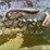ford-1925-image-125
