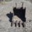 deere-26g-image-11