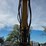 2022-caterpillar-308-cr-image-51