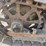 caterpillar-thirty-image-14