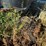 #10581-•-2006-mack-cxn613-daycab-s/a-truck-tractor-1m1ak06y36n008620-inv#10581-image-13