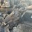 #10581-•-2006-mack-cxn613-daycab-s/a-truck-tractor-1m1ak06y36n008620-inv#10581-image-60
