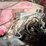 ford-f5-image-41