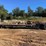 2012-landoll-440-image-2
