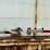 great-dane-van-trailer-image-21
