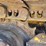 2021-caterpillar-d3-image-37