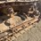 caterpillar-thirty-image-12