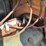 ford-model-t-image-117