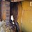 2016-caterpillar-d6t-xl-image-37