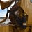 2001-volvo-a25c-image-32