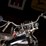 1947-harley-davidson-"74"-knucklehead-image-36