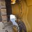 2019-caterpillar-d6t-xl-image-38