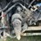 2013-international-prostar-image-53