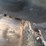 #10586-•-2010-dodge-ram-pickup-pickup-1d7rb1gk1as181216-inv#10586-image-61