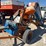bear-cat-roller-mill-8271-image-1