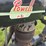 1949-powell-p-81-motorcycle-unrestored-image-79
