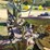 john-deere-model-b-image-23