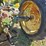 john-deere-model-b-image-19
