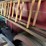 ford-f5-image-22