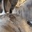caterpillar-d6d-image-32