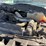 2014-ford-f550-image-28