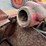 new-holland-707-image-5