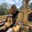 caterpillar-615c-image-16