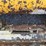 2012-caterpillar-259b3-image-38