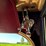 1947-ford-super-deluxe-sportsman-image-145
