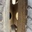 #10597-•-*inop-1998-gmc-c7500-daycab-s/a-grabage-truck-1gdl7h1p7wj519418-inv#10597-image-16