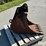 2020-fleco-sy60-24”-toothed-mini-excavator-bucket-image-4