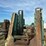 #141-•-salem-equipment-bandmill-headrig-image-15