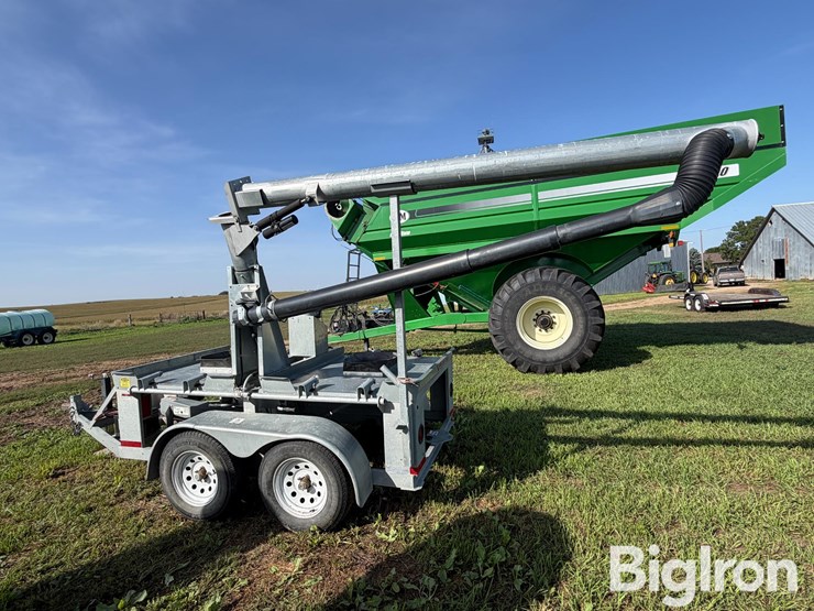 ads-bulk-seed-buggy-image-8
