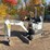 2023-bobcat-e10-image-1