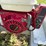 ads-bulk-seed-buggy-image-14